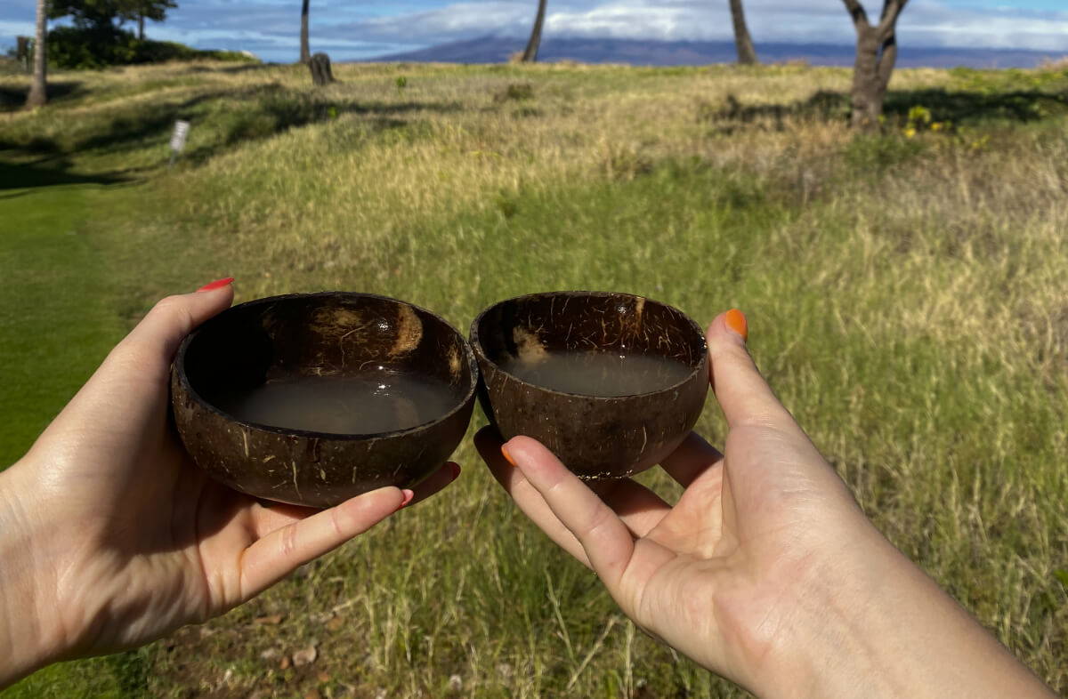 Kava Pro’s and Cons