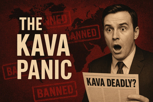 Kava Liver Toxicity And The Big Kava Scare